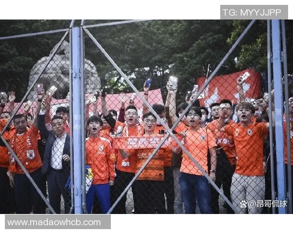 南京足球队状态飙升创历史新高引发球迷热议与期待