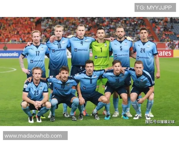 悉尼足球群的激情与梦想：共同追逐绿茵场上的荣耀与友谊